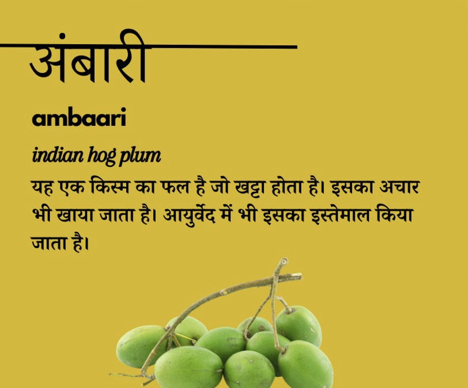 Instagram preview